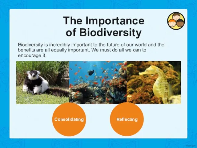 The Importance of Biodiversity Biodiversity is incredibly important to the future of