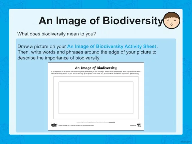 An Image of Biodiversity What does biodiversity mean to you? Draw a