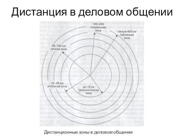 Дистанция в деловом общении Дистанционные зоны в деловом общении