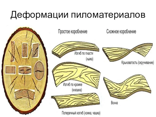 Деформации пиломатериалов