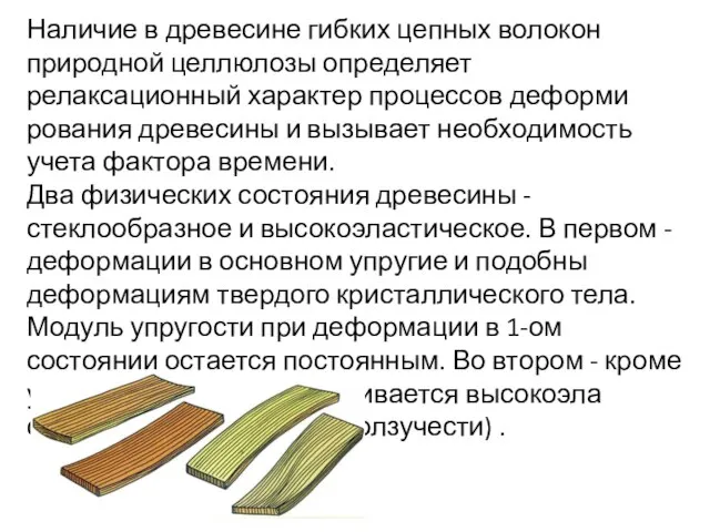 Наличие в древесине гибких цепных волокон природной цел­люлозы определяет релаксационный характер процессов