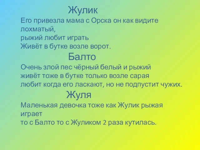 Жулик Его привезла мама с Орска он как видите лохматый, рыжий любит