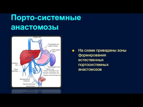 Порто-системные анастомозы На схеме приведены зоны формирования естественных портосистемных анастомозов