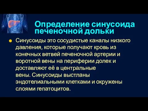 Определение синусоида печеночной дольки Синусоиды это сосудистые каналы низкого давления, которые получают