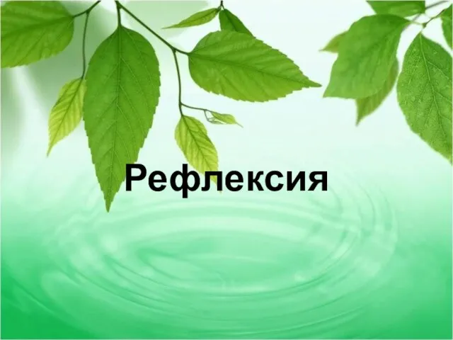 Рефлексия