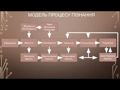 МОДЕЛЬ ПРОЦЕСУ ПІЗНАННЯ Інформація Збудження Гальмування Відчуття Сенсорна пам’ять Увага Мотивація Установка