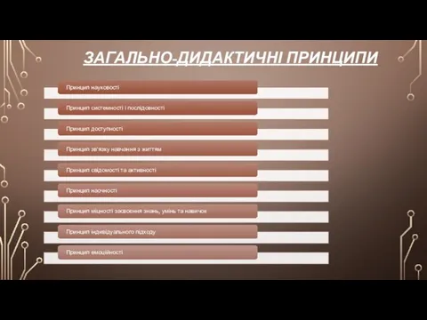 ЗАГАЛЬНО-ДИДАКТИЧНІ ПРИНЦИПИ