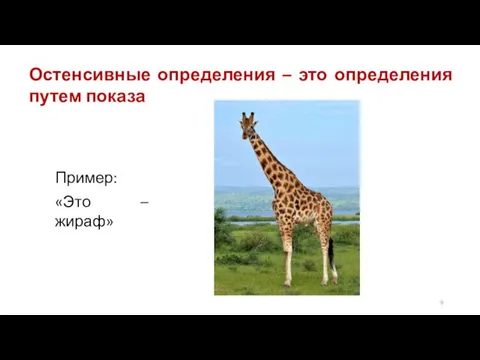 Остенсивные определения – это определения путем показа Пример: «Это – жираф»
