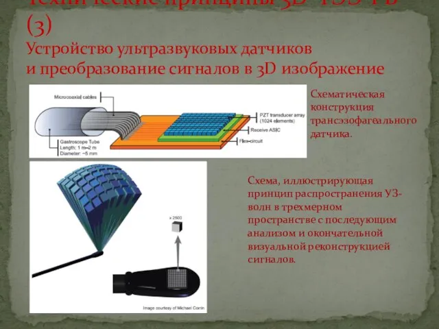Технические принципы 3D-ТЭЭ-РВ (3) Устройство ультразвуковых датчиков и преобразование сигналов в 3D