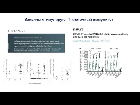 Вакцины стимулируют Т-клеточный иммунитет