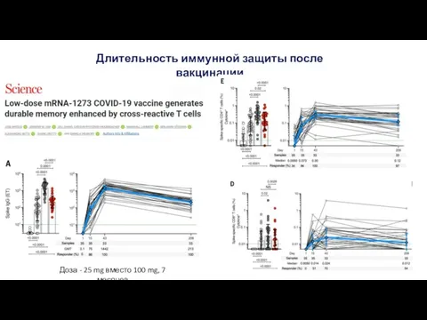 Длительность иммунной защиты после вакцинации Доза - 25 mg вместо 100 mg, 7 месяцев