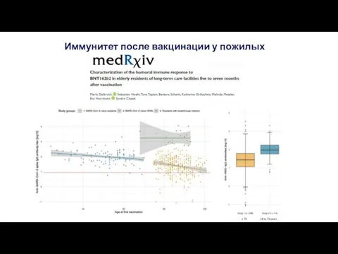 Иммунитет после вакцинации у пожилых