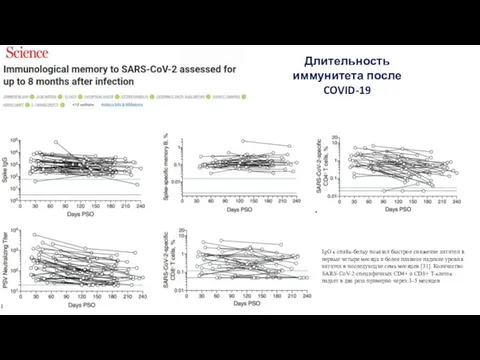 Длительность иммунитета после COVID-19 IgG к спайк-белку показал быстрое снижение антител в