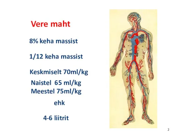 Vere maht 8% keha massist 1/12 keha massist Keskmiselt 70ml/kg Naistel 65