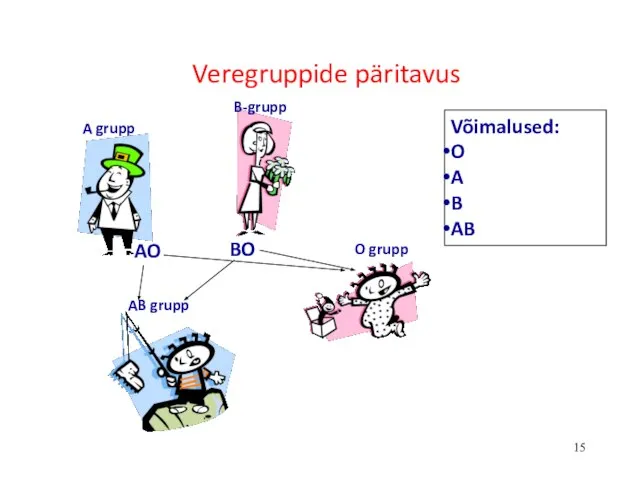 Veregruppide päritavus AO BO A grupp B-grupp AB grupp O grupp Võimalused: O A B AB