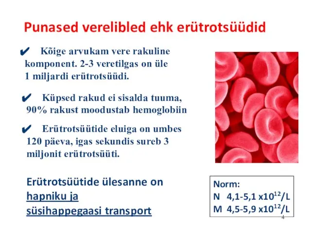 Punased verelibled ehk erütrotsüüdid Kõige arvukam vere rakuline komponent. 2-3 veretilgas on