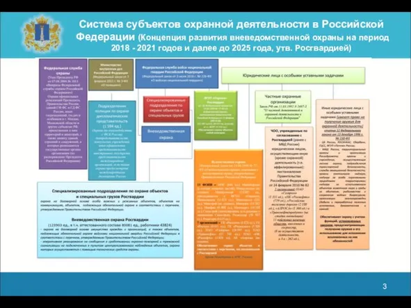 Система субъектов охранной деятельности в Российской Федерации (Концепция развития вневедомственной охраны на