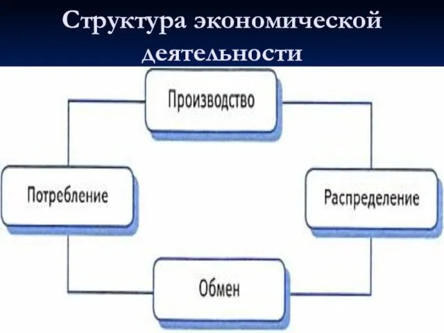 Структура экономической деятельности