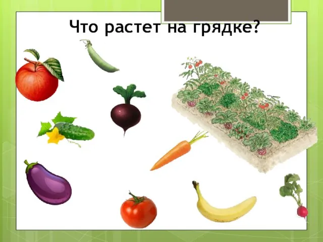 Что растет на грядке?