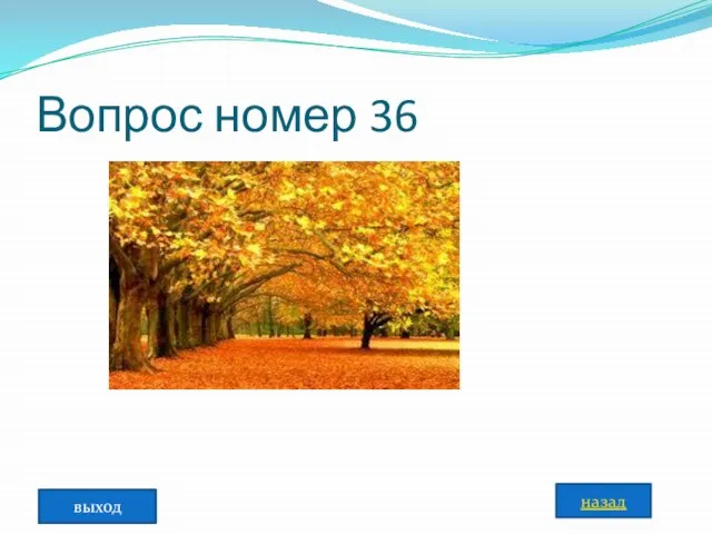 Вопрос номер 36 назад выход