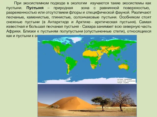 При экосистемном подходе в экологии изучаются такие экосистемы как пустыни. Пустыня –