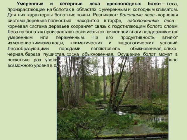 Умеренные и северные леса пресноводных болот— леса, произрастающие на болотах в областях