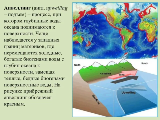 Апвеллинг (англ. upwelling – подъем) – процесс, при котором глубинные воды океана