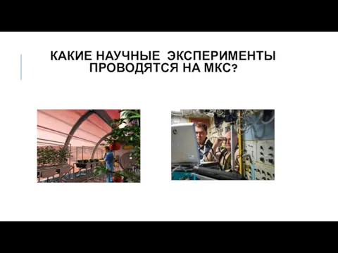 КАКИЕ НАУЧНЫЕ ЭКСПЕРИМЕНТЫ ПРОВОДЯТСЯ НА МКС?