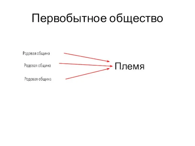 Первобытное общество Племя