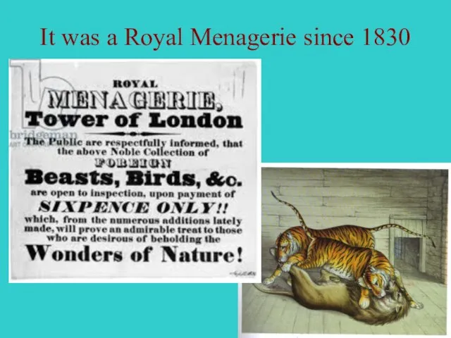 It was a Royal Menagerie since 1830