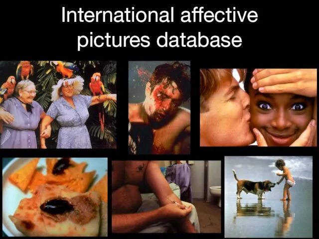 International affective pictures database