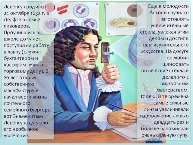 Левенгук родился 24 октября 1632 г. в Делфте в семье пивоваров. Проучившись