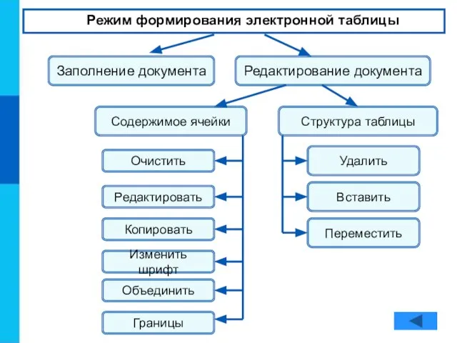 Режим формирования электронной таблицы Заполнение документа Редактирование документа Содержимое ячейки Структура таблицы