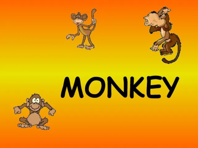 MONKEY