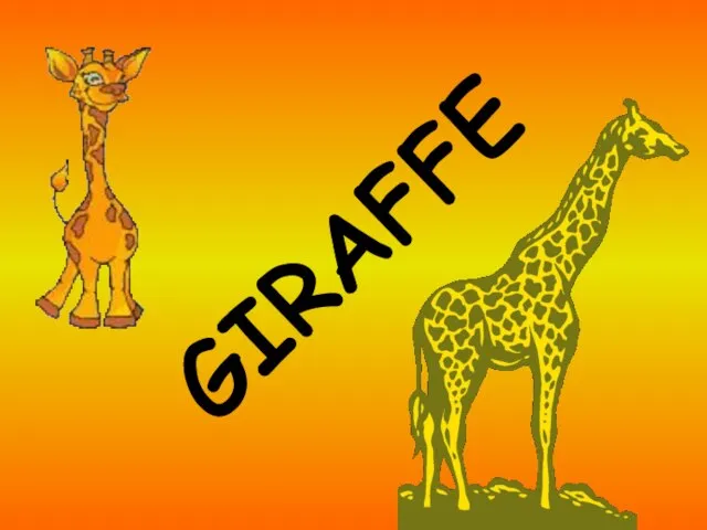 GIRAFFE