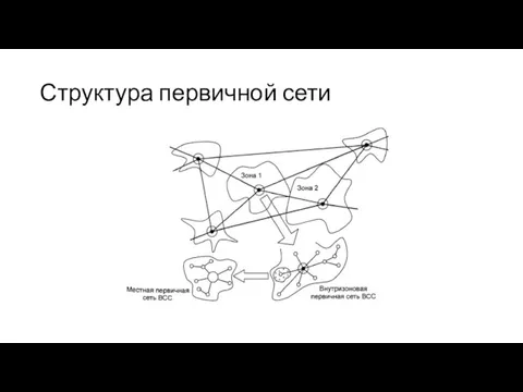 Структура первичной сети