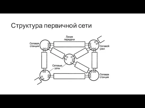 Структура первичной сети