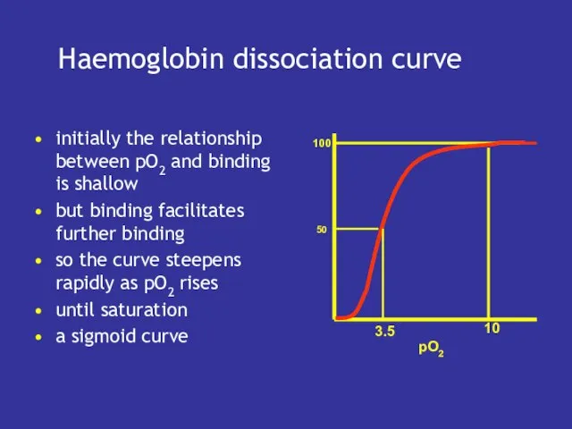 Haemoglobin dissociation curve initially the relationship between pO2 and binding is shallow