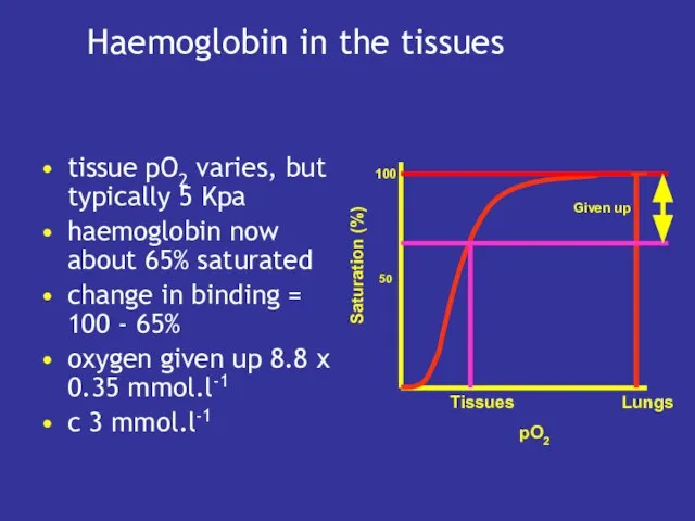 Haemoglobin in the tissues tissue pO2 varies, but typically 5 Kpa haemoglobin