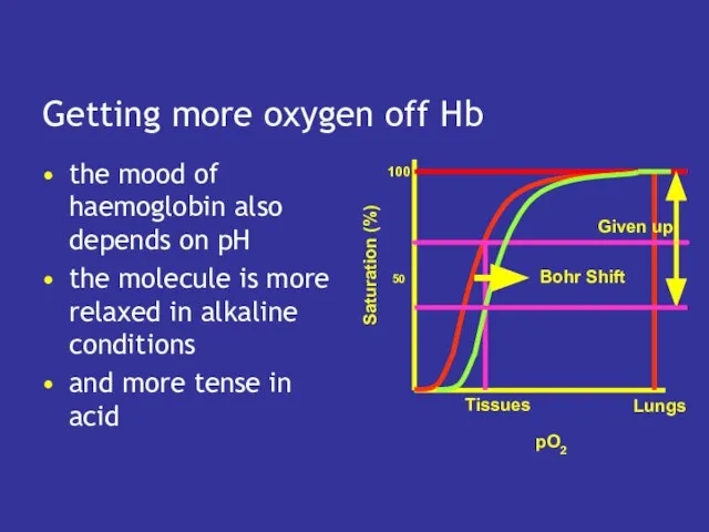Getting more oxygen off Hb the mood of haemoglobin also depends on