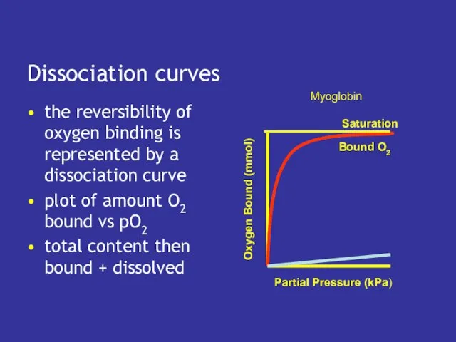 Dissociation curves the reversibility of oxygen binding is represented by a dissociation