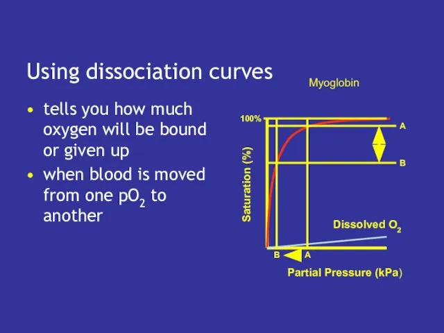 Using dissociation curves tells you how much oxygen will be bound or