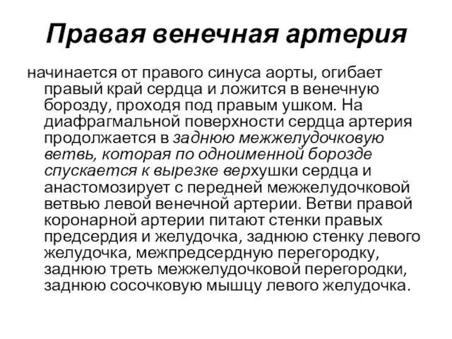 начинается от правого синуса аорты, огибает правый край сердца и ложится в