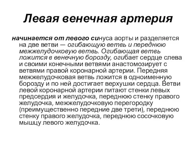 начинается от левого синуса аорты и разделяется на две ветви — огибающую