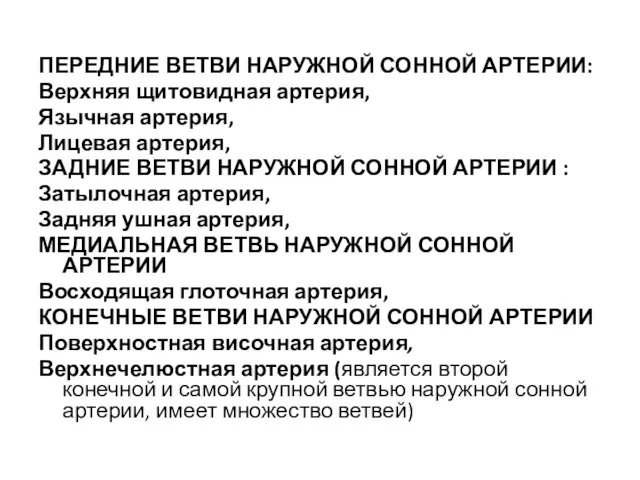 ПЕРЕДНИЕ ВЕТВИ НАРУЖНОЙ СОННОЙ АРТЕРИИ: Верхняя щитовидная артерия, Язычная артерия, Лицевая артерия,