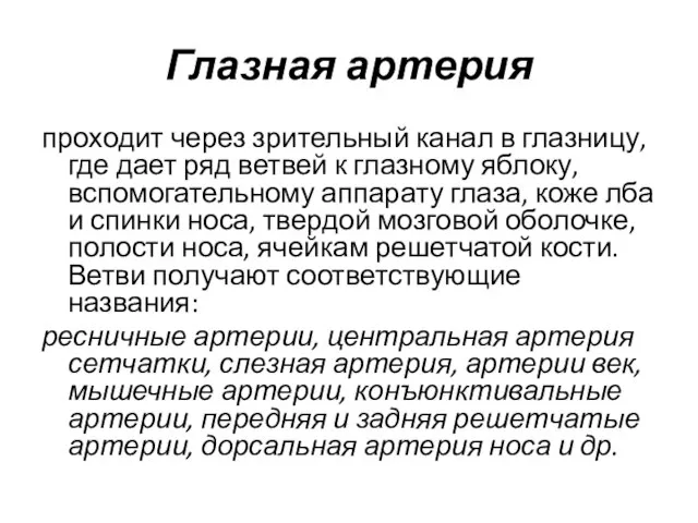 Глазная артерия проходит через зрительный канал в глазницу, где дает ряд ветвей