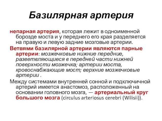 Базилярная артерия непарная артерия, которая лежит в одноименной борозде моста и у