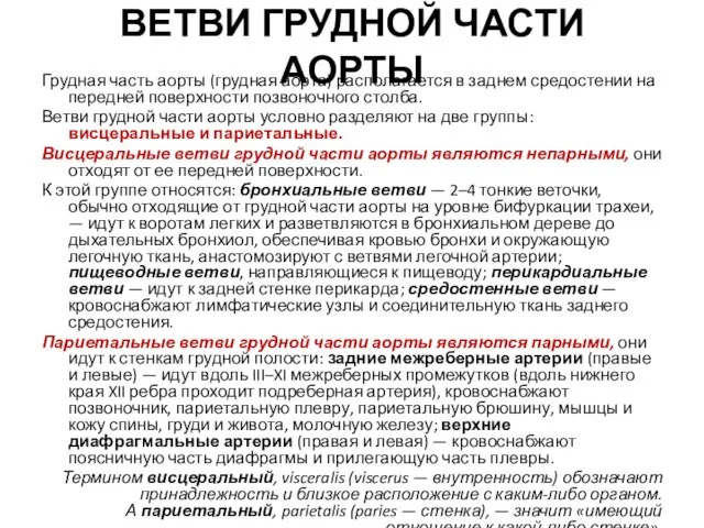 ВЕТВИ ГРУДНОЙ ЧАСТИ АОРТЫ Грудная часть аорты (грудная аорта) располагается в заднем