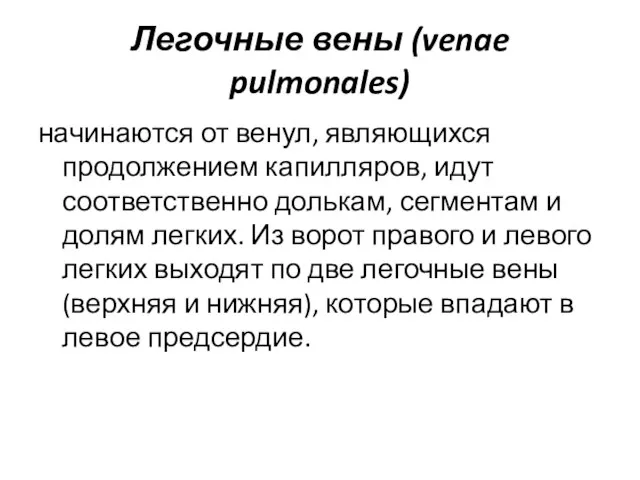 Легочные вены (venae pulmonales) начинаются от венул, являющихся продолжением капилляров, идут соответственно