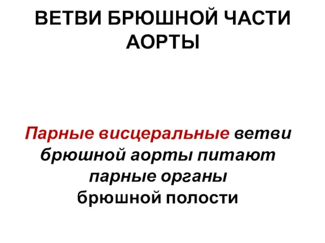 Парные висцеральные ветви брюшной аорты питают парные органы брюшной полости ВЕТВИ БРЮШНОЙ ЧАСТИ АОРТЫ